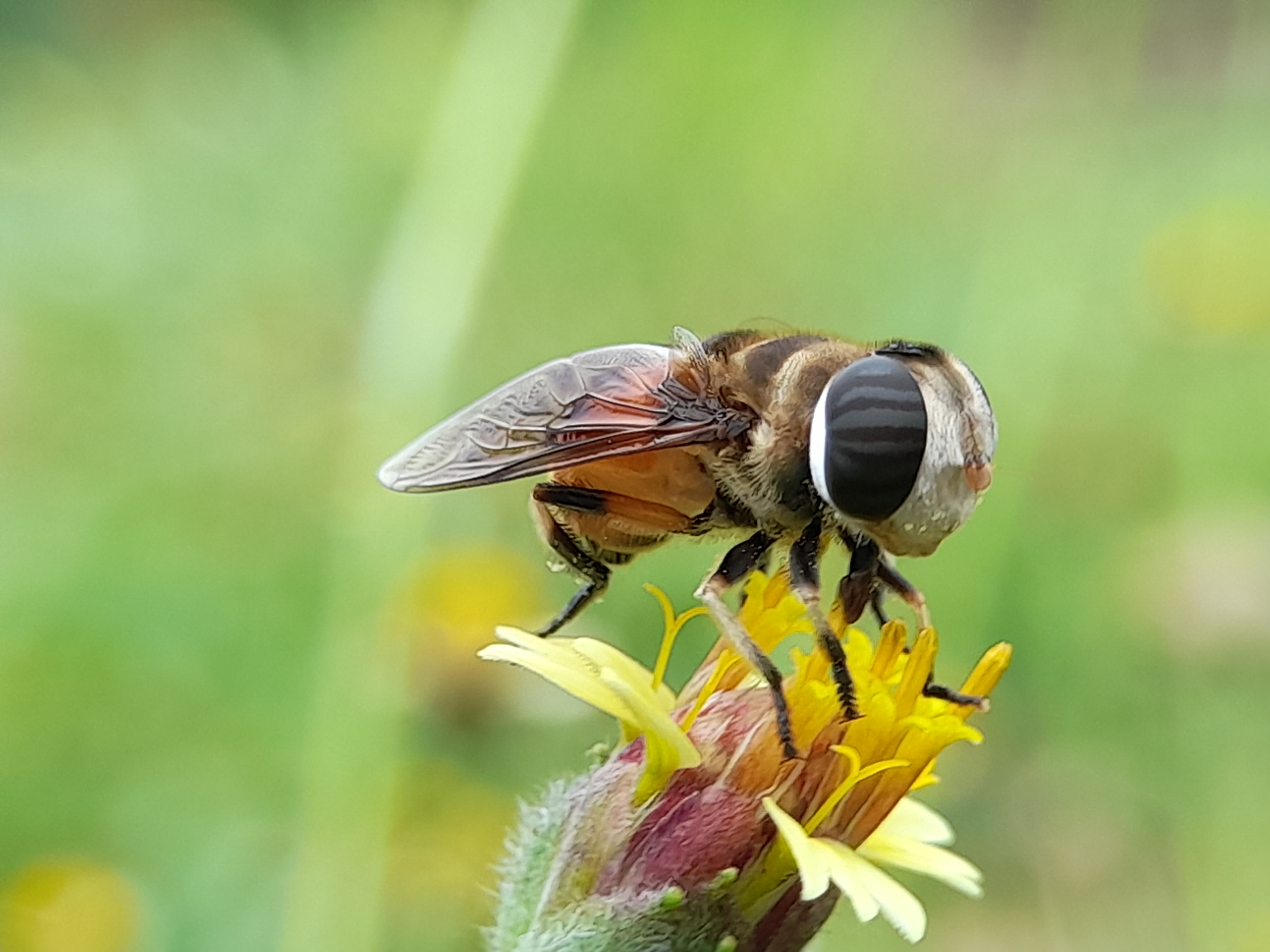 20210629_141356[1].jpg